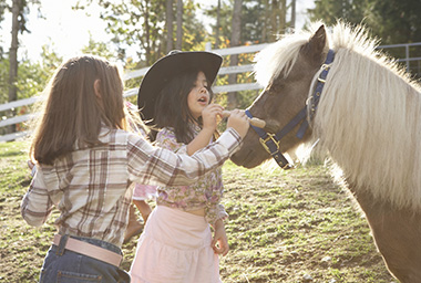 White fillings are available in Burlington, Crestview Hills, and Cold Spring KY to help prevent cavities in baby teeth.