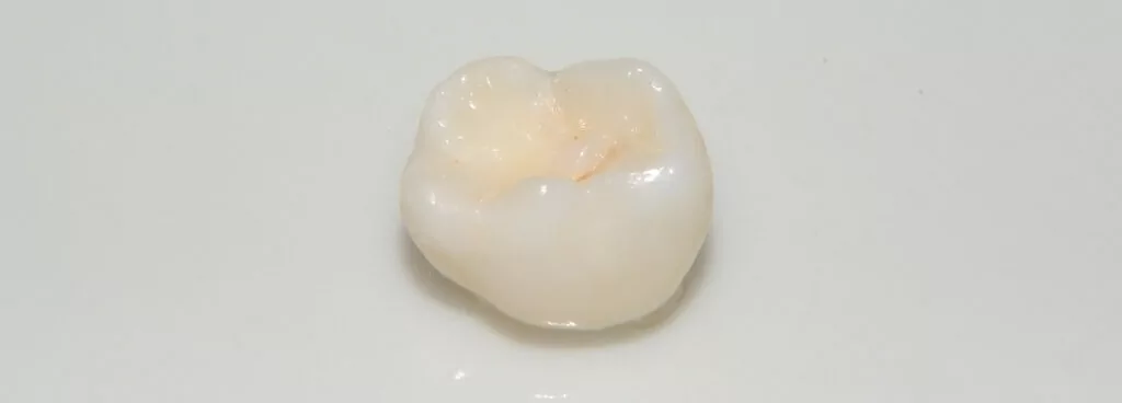A single baby tooth on a white background.